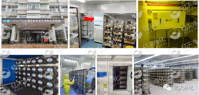 動(dòng)物實(shí)驗(yàn)室難聞的惡臭異味有哪些危害？如何去除？——?jiǎng)游飳?shí)驗(yàn)室去除臭味異味空氣質(zhì)量控制方案