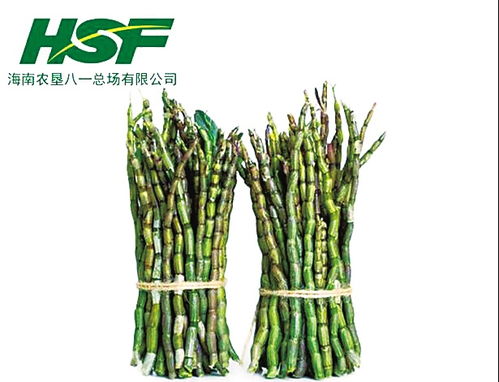 石斛里的邊陲小鎮(zhèn) 八一農(nóng)場的綠野仙蹤與深情密碼